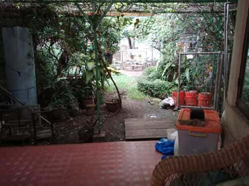 FOTO (9)