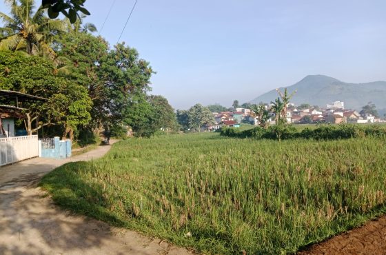 Dijual lahan 725 tumbak di Pasirwaru – Cimanggung.