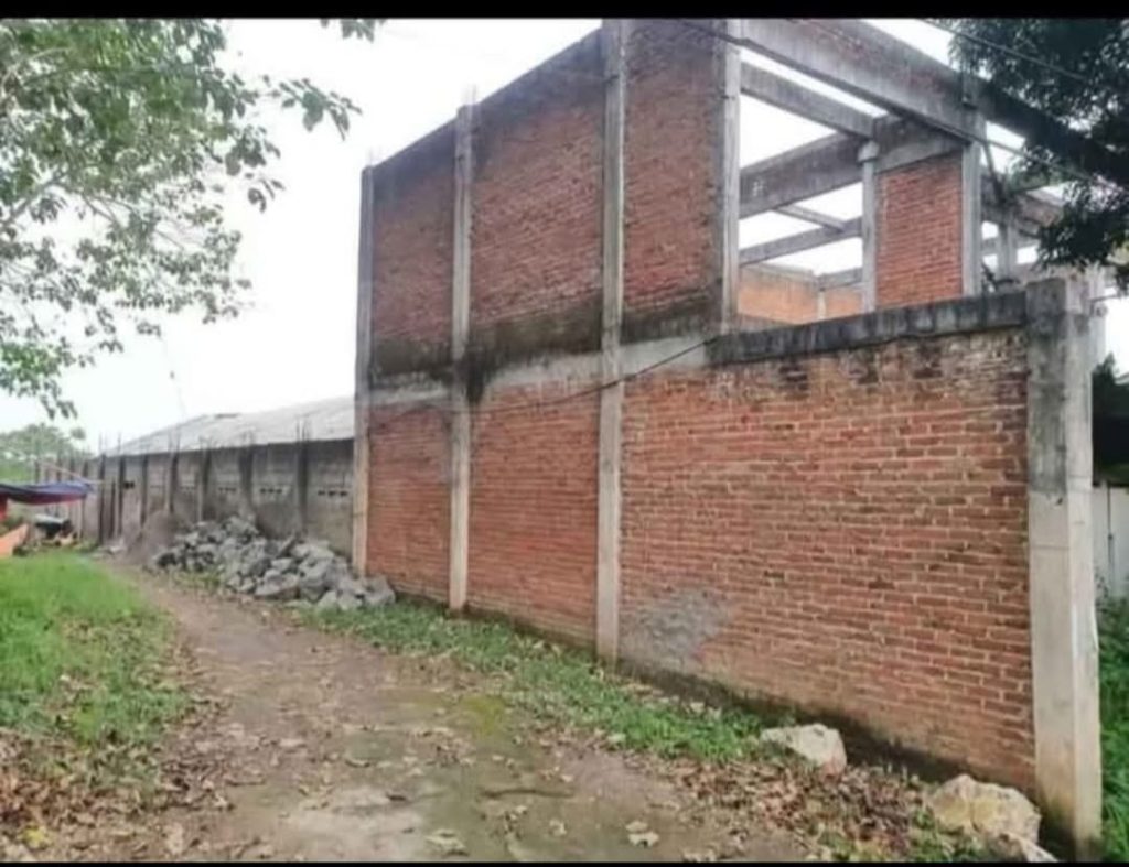 WhatsApp-Image-2026-03-18-at-14.07.28-6